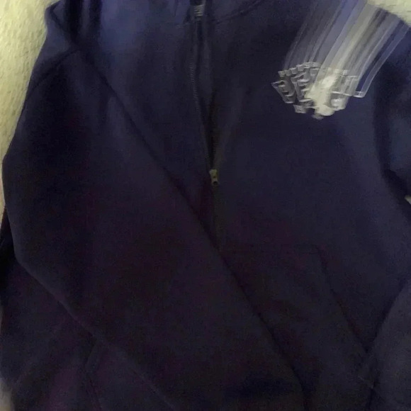 Single Scoop Pittsburg Penn. Eagles Ladies Purple Hoodie Size 2X - Picture 2 of 4